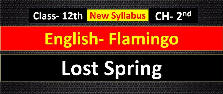 Lost Spring ( Anees Jung )  Chapter 2nd English Flamingo Notes Summary and Most Important Question answer